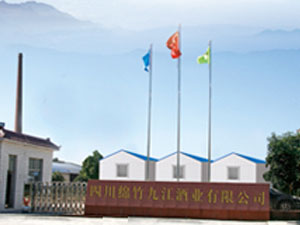 �Ĵ��d��Ž��ƘI���޹�˾