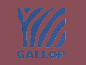 �Ϻ��Y�R���H�Q�����޹�˾