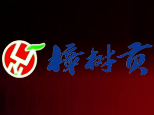 ��������ؕ�ƘI���޹�˾