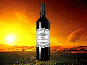 ���u����˹���Ѿ����޹�˾