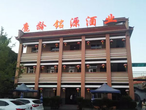 ���¹�g�Դ�ƘI���޹�˾