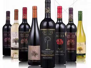 �����Z�ˬ��ƘI���޹�˾