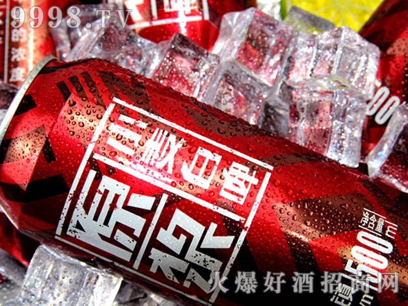 500ML����С�ơ�Ƽt�ޑ���ƪ-����ƪ-(4)