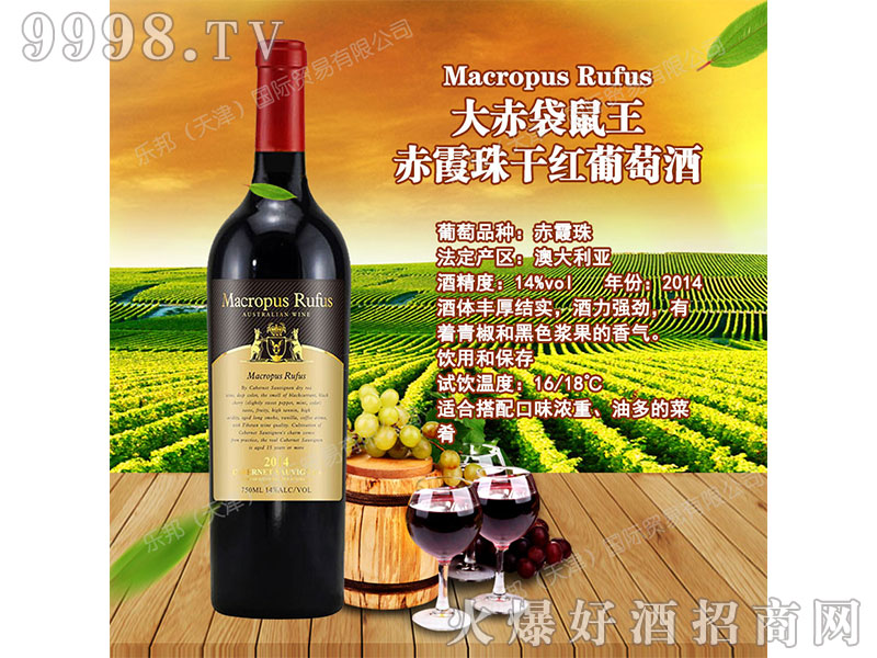 ����������ϼ��ɼt���Ѿ�