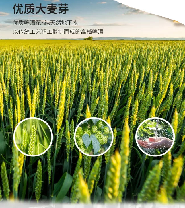 Ӣ��ơ����ƿ