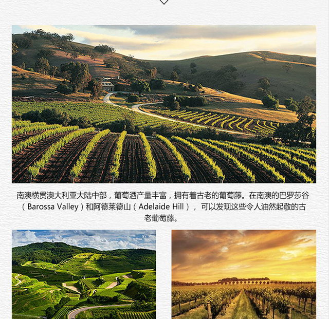 心菲莊園南澳西拉子520