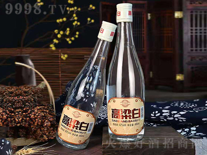 �����׾� �����Ͱ׾ơ�42�� 480ml��2��