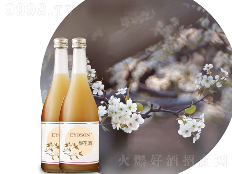 һ�(y��ng)���滨�ơ�12�� 500ml��