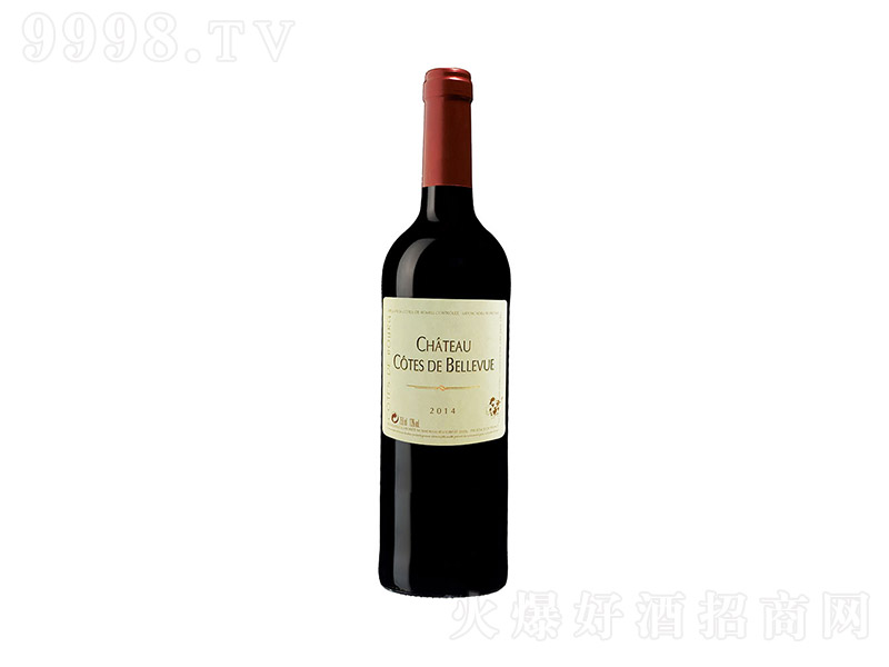 ����ɯ��ϼ��t���Ѿơ�13�� 750ml��