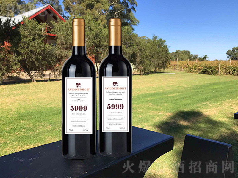 5999÷��ɼt���Ѿưטˡ�13�� 750ml��