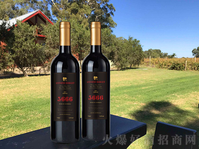 5666÷��ɼt���Ѿưטˡ�13�� 750ml��