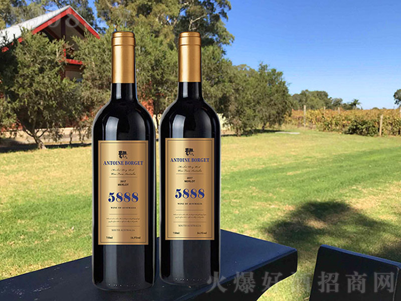 5888�����Ӹɼt�����S�ˡ�13�� 750ml��-�t�����Ϣ