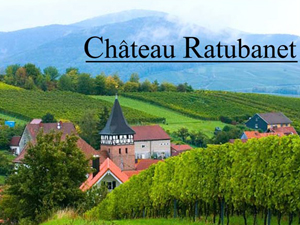 ��ɽ�����D�ټ{�Q�����޹�˾