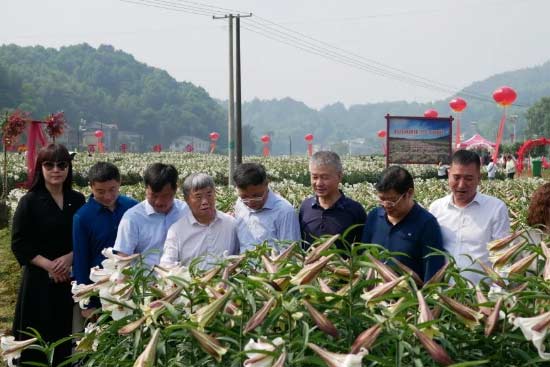 �ٺϼ��ٺ��{��u�Ʈa�I�����_�l�f�h���փxʽ