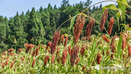 (gu)u㡢T(mn)Fé_(ti)ơF