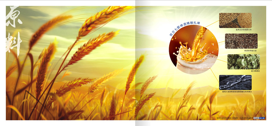 荷蘭七箭啤酒(湖南)有限公司