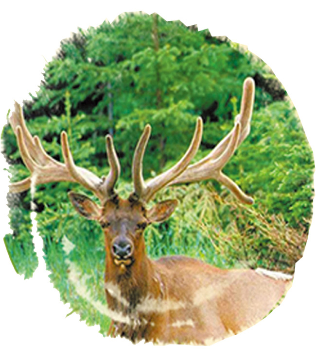 ��Ԫ�B����32��125ml