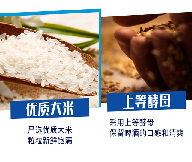 哈爾濱冰熊王啤酒半托500ml