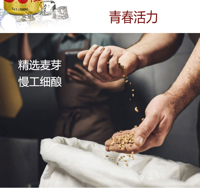 8090后啤酒·青春活力金罐330ml