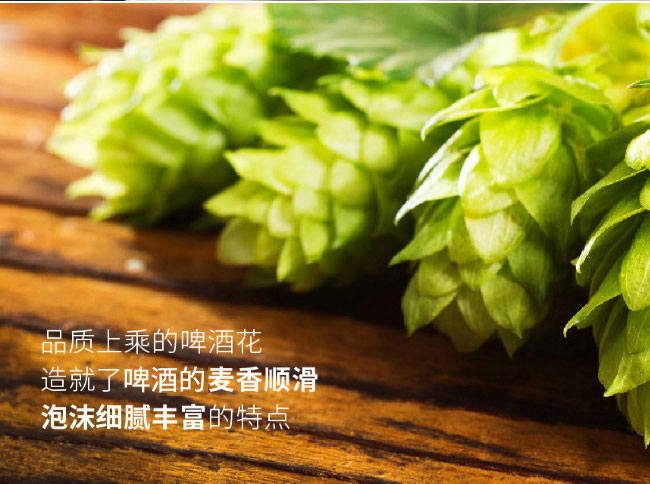 澳德旺啤酒麥香啤酒500ml