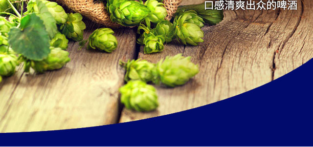 �������ơ��320mlx24