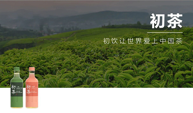 初飲初茶青檸烏龍茶【500ml】