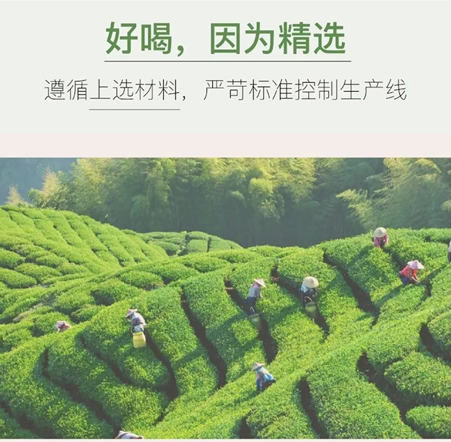 初飲初茶蜜桃烏龍茶【500ml】