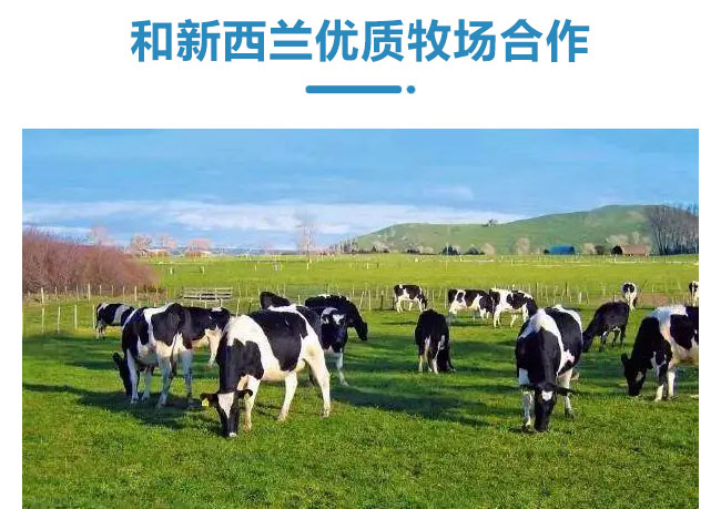 ���ԭζ�l�������Ʒ��300g��