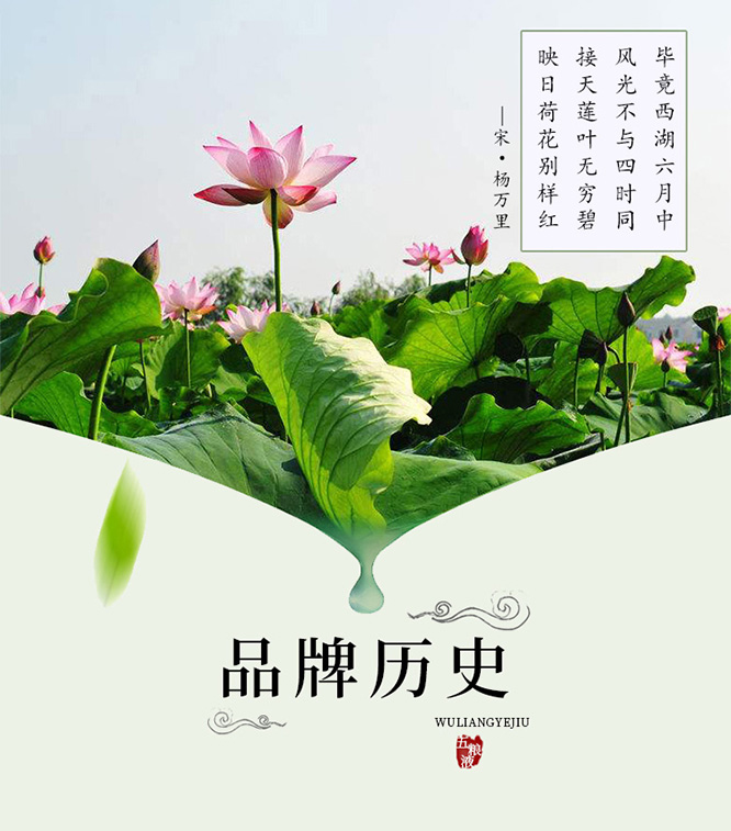 國(guó)鼎荷花系列