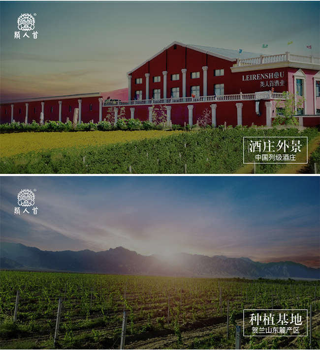 類人首R6干紅葡萄酒