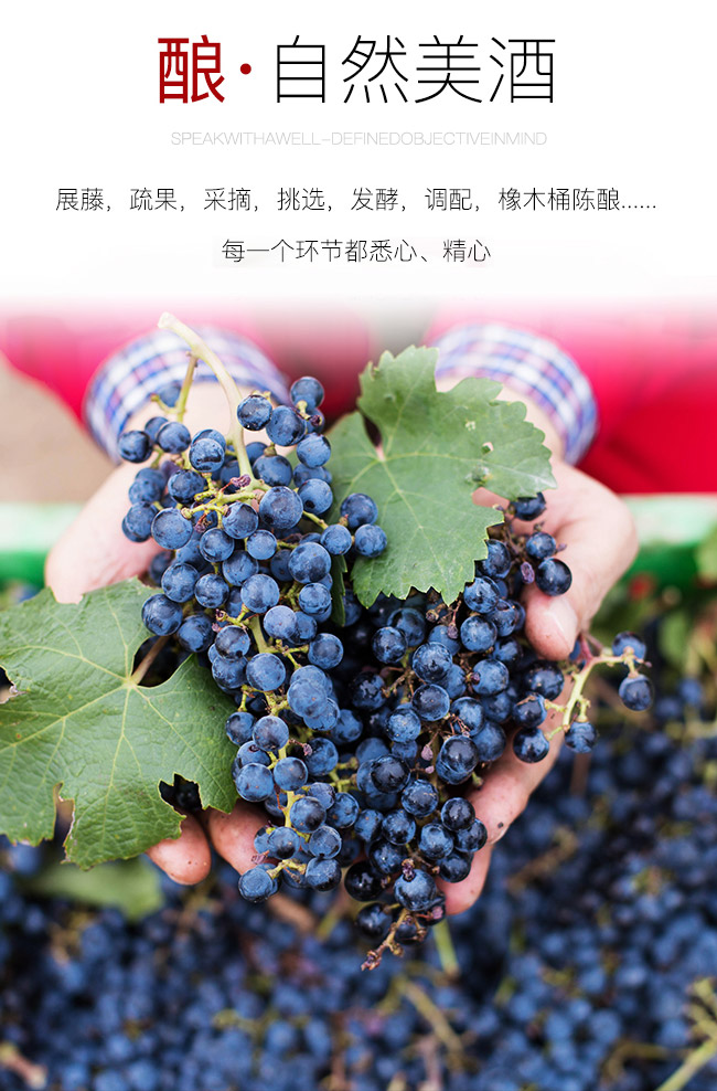 類人首R6干紅葡萄酒