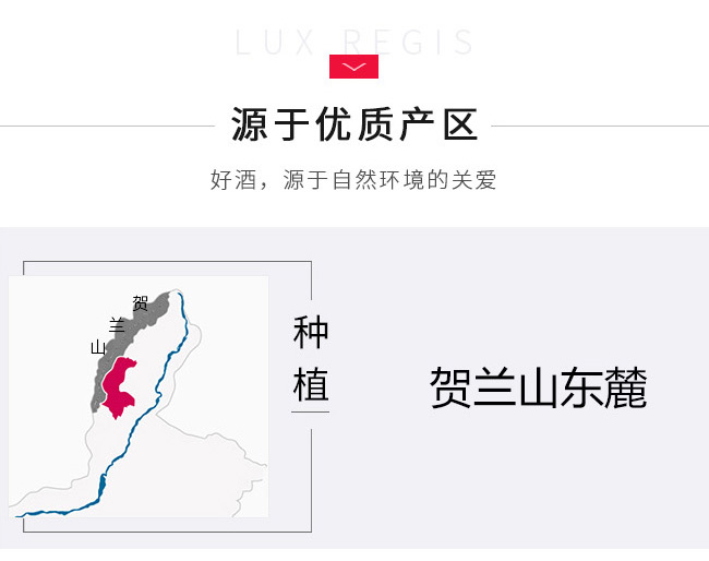 類人首微陳釀赤霞珠葡萄酒