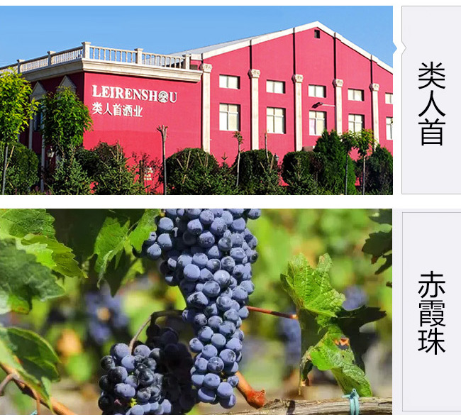 類人首微陳釀赤霞珠葡萄酒