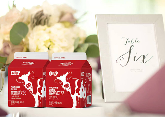 牛加加酸奶飲品生牛乳發酵300ml