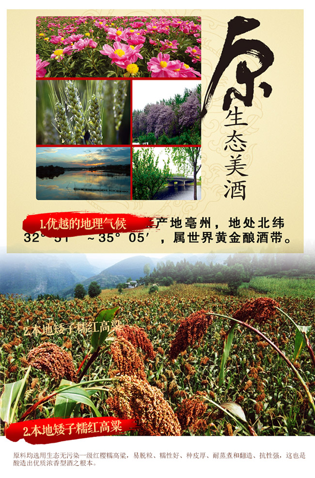 �NȪ���� �����Ͱ׾ơ�42�� 500ml��