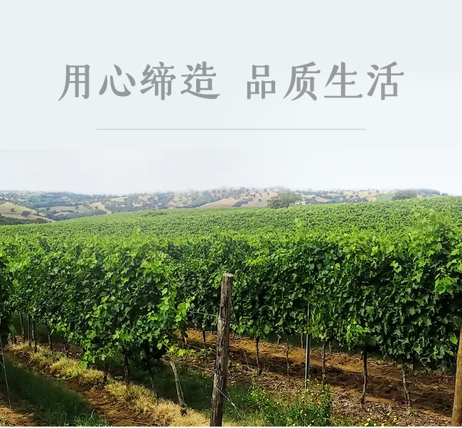 深圳美凱隆進出口貿易有限公司