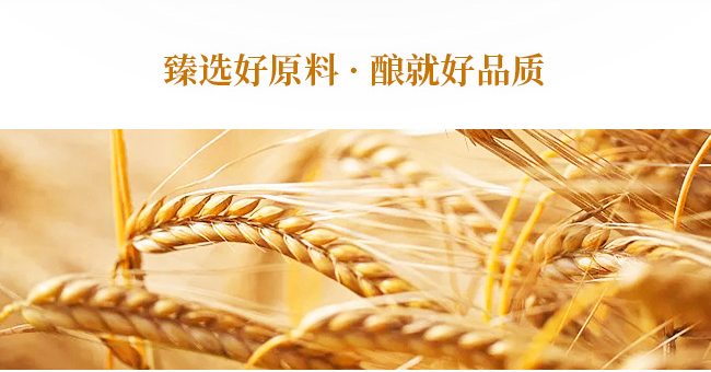 凱盾精釀金麥啤酒