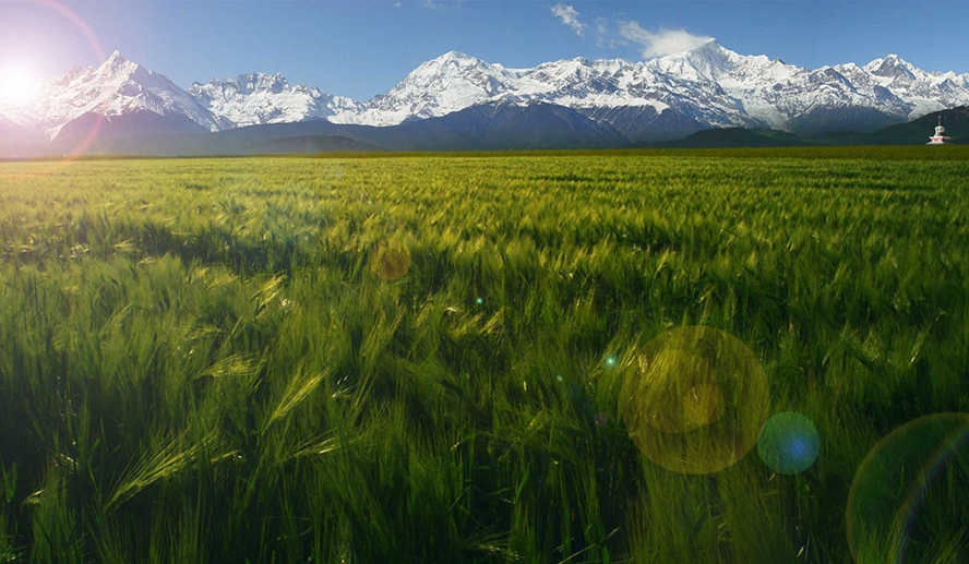 �ຣ���������ƹɷ����޹�˾