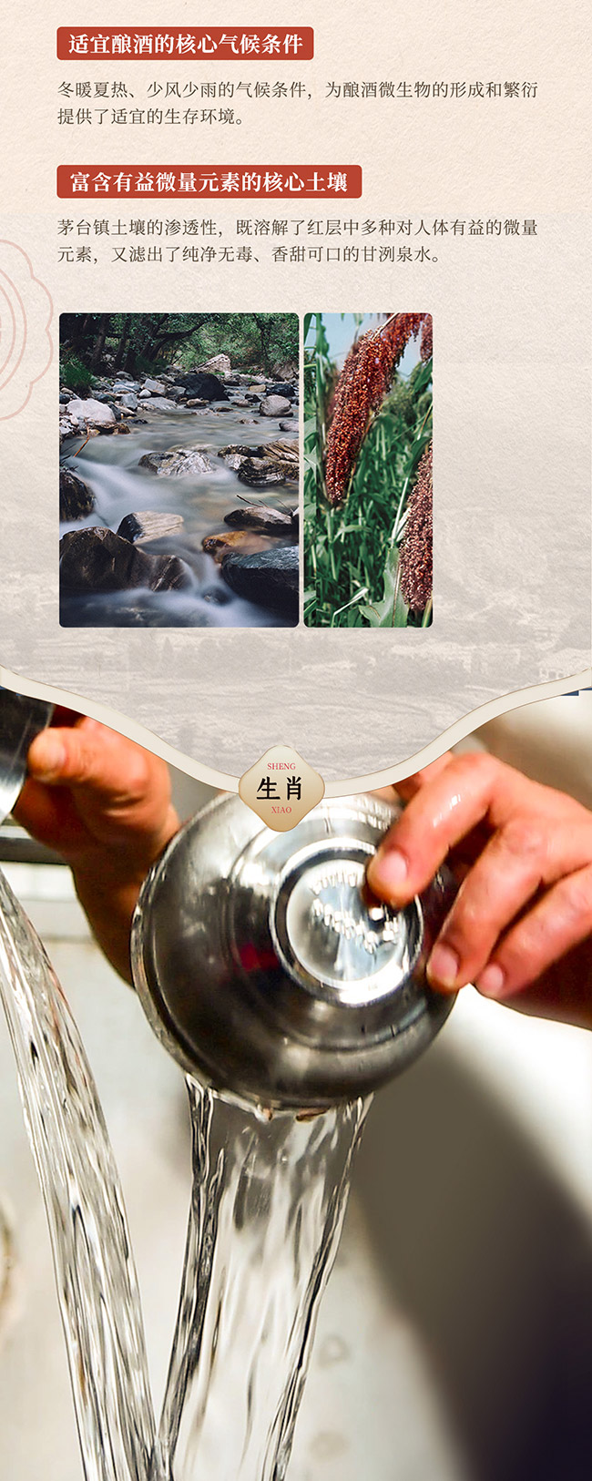 ������Ф��